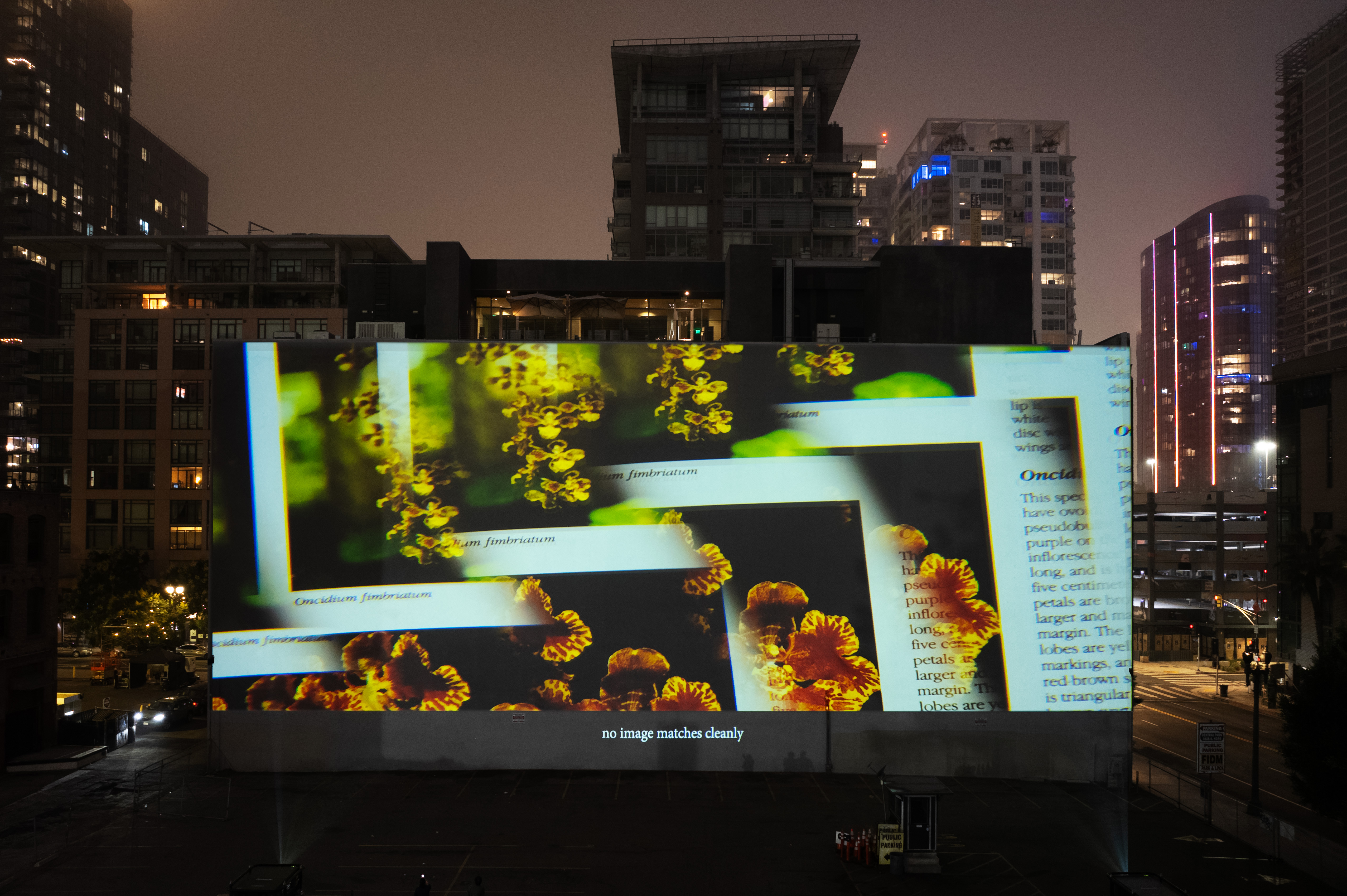 An aerial view of video projection on the face of a building against a purple hazy sky and the downtown Los Angeles skyline. Video image of the pages of a book containing yellow and orange orchid flowers reflected and multiplied across the screen